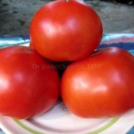 «Ukrainian vining» - Organic Tomato Seeds