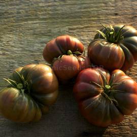 «Tim's Black Ruffles» - Organic Tomato Seeds