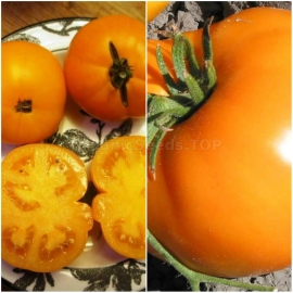 Russian seeds tomato persimmon 