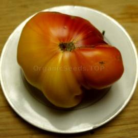 «Old Flame» - Organic Tomato Seeds