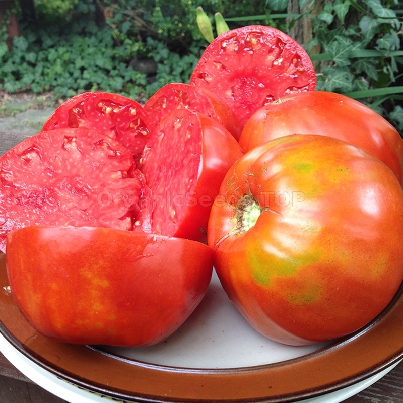 «Mayo's Delight» - Organic Tomato Seeds - Shipping is free for orders ...