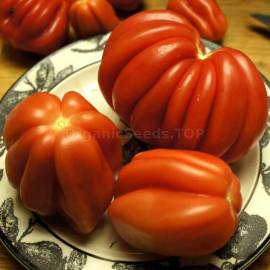 «Gezahnte» - Organic Tomato Seeds