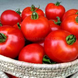 «Early Detroit» - Organic Tomato Seeds