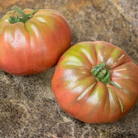 «Black Mamba» - Organic Tomato Seeds