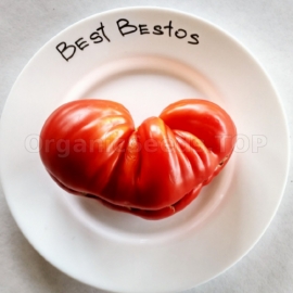 «Best Bestos» - Organic Tomato Seeds