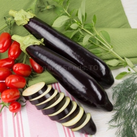 «Arap» - Organic Eggplant Seeds