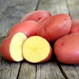 «Beauty» - Organic Potato Seeds