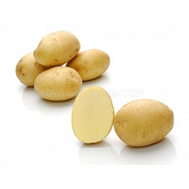 «Lada» - Organic Potato Seeds