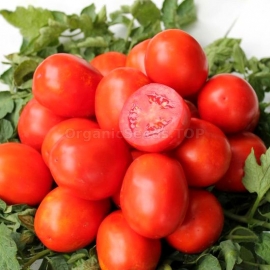 «Legin» - Organic Tomato Seeds