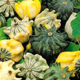 «Shenot Crown of Thorns» - Organic Pumpkin Seeds