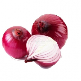 «Rainbow» - Organic Onion Seeds