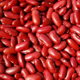 «Gift Kidney» - Organic Bean Seeds