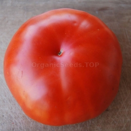 «Turgoyak» - Organic Tomato Seeds