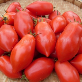 «Chizhik» - Organic Tomato Seeds