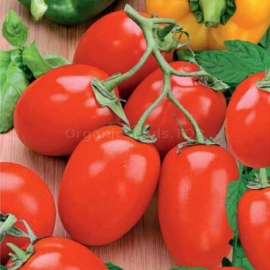 «Rio Fuego» - Organic Tomato Seeds