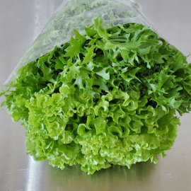 «Lollo Bionda» - Organic Salad Seeds