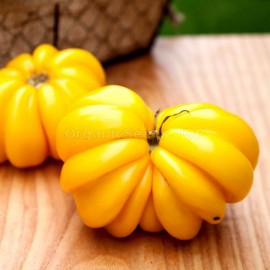 «Yellow Ruffled» - Organic Tomato Seeds